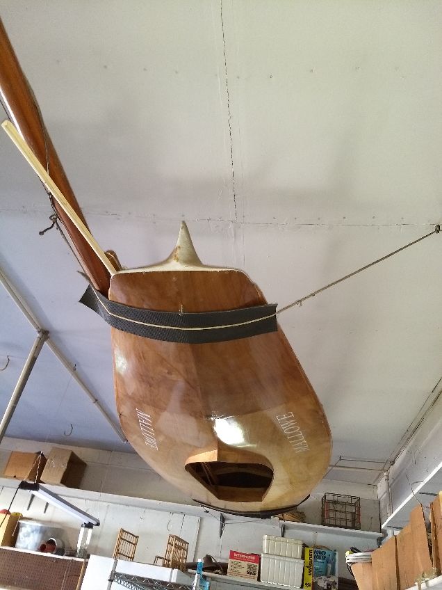 moth class sailboat for sale