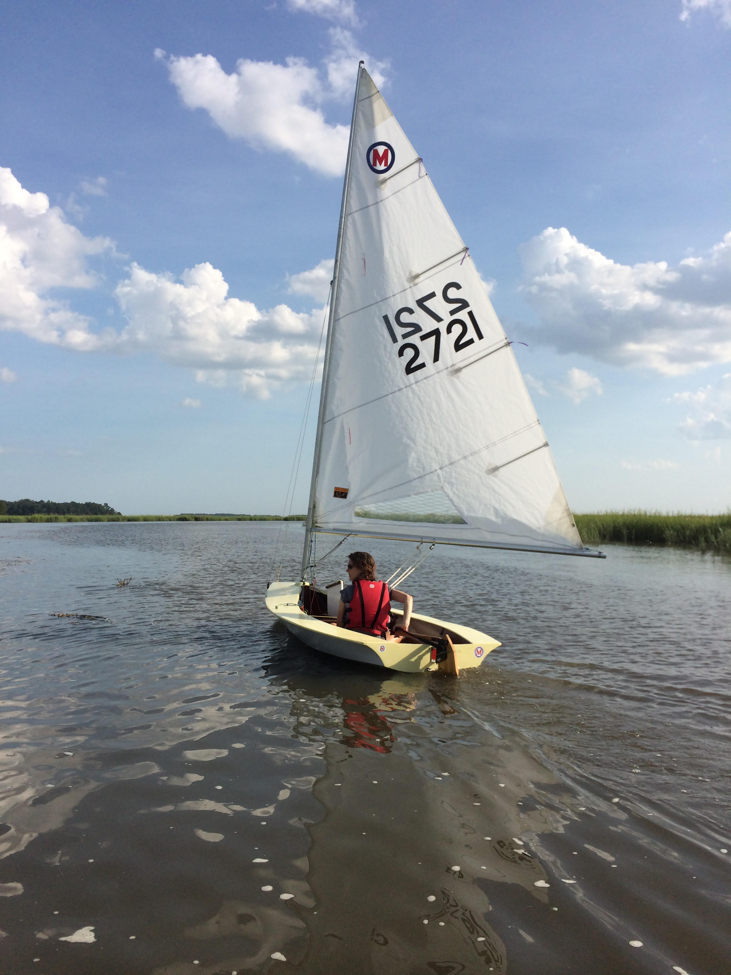 moth sailboat for sale